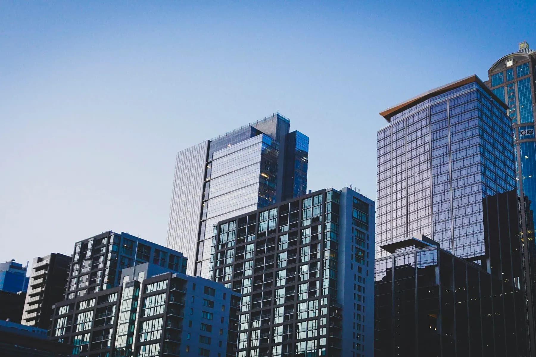 Government Services services from BlackShield Risk Management throughout Florida