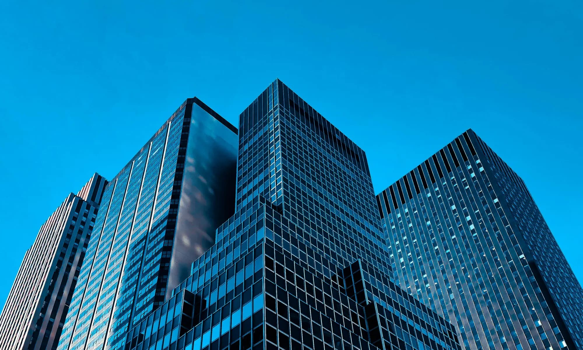 Corporate Offices security and risk management in Florida — BlackShield Risk Management