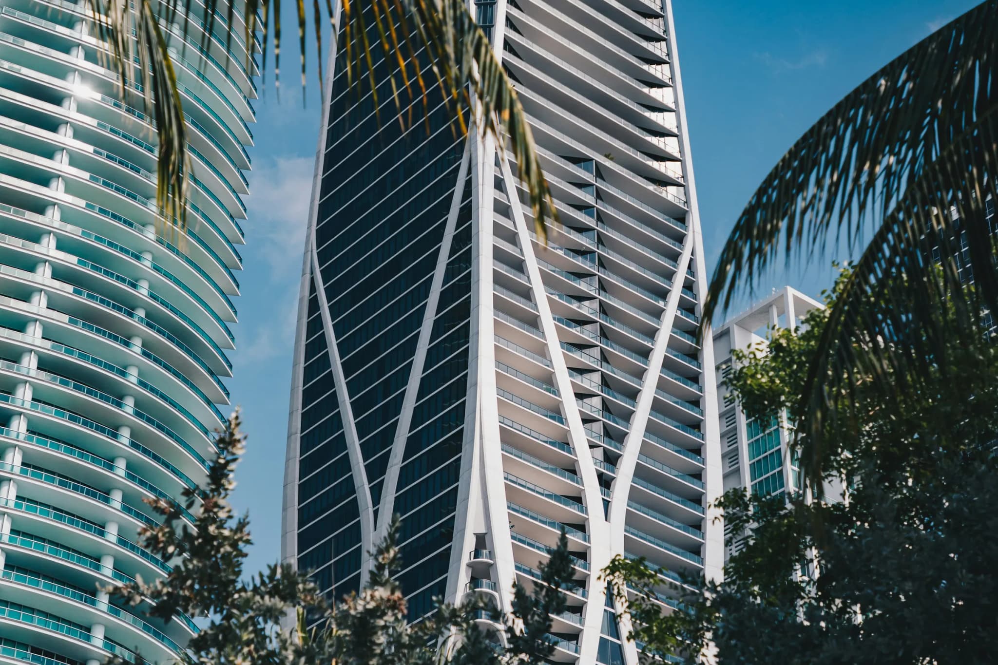 Modern Florida skyscrapers framed by palm trees along a waterfront